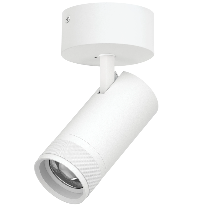 Светильник накладной LIGHTSTAR CANNO PRO C4306SO