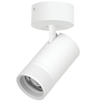 Светильник накладной LIGHTSTAR CANNO PRO C4406SO