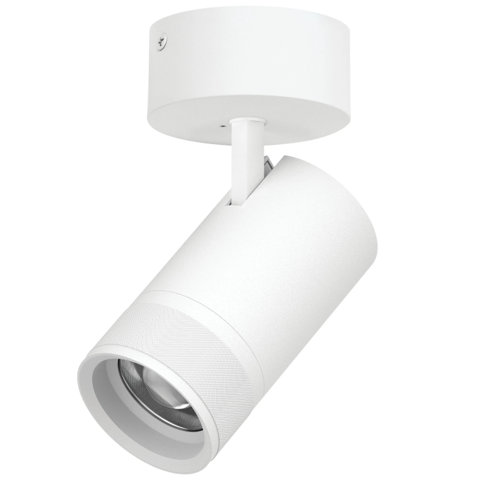 Светильник накладной LIGHTSTAR CANNO PRO C4406SO