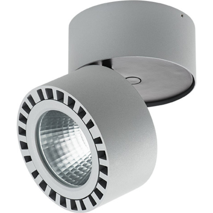 Светильник накладной LIGHTSTAR FORTE 381394