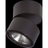 Светильник накладной LIGHTSTAR FORTE MURO 213817