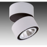 Светильник накладной LIGHTSTAR FORTE MURO 213830