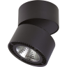 Светильник накладной LIGHTSTAR FORTE MURO 213837