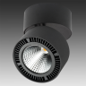 Светильник накладной LIGHTSTAR FORTE MURO 213837
