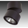 Светильник накладной LIGHTSTAR FORTE MURO 213857