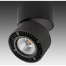 Светильник накладной LIGHTSTAR FORTE MURO 214817