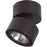 Светильник накладной LIGHTSTAR FORTE MURO 214817