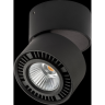 Светильник накладной LIGHTSTAR FORTE MURO 214817