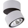 Светильник накладной LIGHTSTAR FORTE MURO 214830