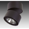 Светильник накладной LIGHTSTAR FORTE MURO 214837