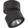Светильник накладной LIGHTSTAR FORTE MURO 214837