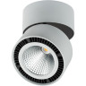 Светильник накладной LIGHTSTAR FORTE MURO 214839