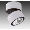 Светильник накладной LIGHTSTAR FORTE MURO 214850