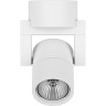 Светильник накладной LIGHTSTAR Illumo L1