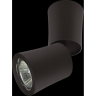 Светильник накладной LIGHTSTAR Rotonda