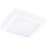 Светильник накладной LIGHTSTAR URBANO 216802