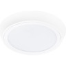 Светильник накладной LIGHTSTAR URBANO 216904