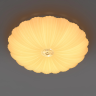 Светильник настенно-потолочный LIGHTSTAR ARCO II 225430