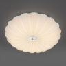 Светильник настенно-потолочный LIGHTSTAR ARCO II 225430