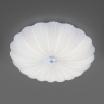 Светильник настенно-потолочный LIGHTSTAR ARCO II 225430