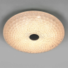 Светильник настенно-потолочный LIGHTSTAR ARCO III 225540