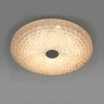 Светильник настенно-потолочный LIGHTSTAR ARCO III 225530 LED 48W 1630-3410LM G БЕЛЫЙ 2700/4200/6400K