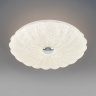 Светильник настенно-потолочный LIGHTSTAR ARCO SHELL 225640