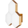 Светильник настенный LIGHTSTAR FAVO 750631