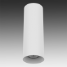 Светильник точечный LIGHTSTAR RULLO 216496