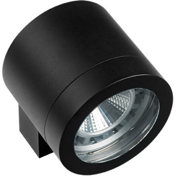 Светильник уличный настенный LIGHTSTAR Paro 350617