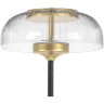 Торшер LIGHTSTAR ACRILE 738773 7W LED 263LM 120G 3000K золото черный