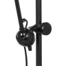 Торшер LIGHTSTAR LOFT 765717