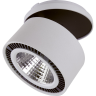 Встраиваемый светильник LIGHTSTAR Forte Inca 213849