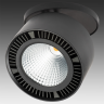 Встраиваемый светильник LIGHTSTAR Forte Inca 214847