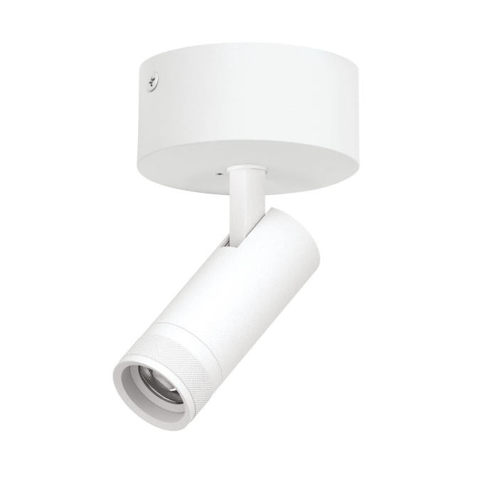 Светильник LIGHTSTAR CANNO PRO C4126SO накладной